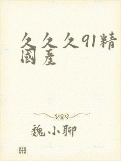 久久久91精品国产