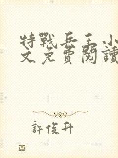 特战兵王小说全文免费阅读封面