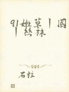 91嫩草丨国产丨丝袜封面