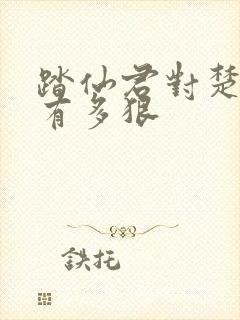 踏仙君对楚晚宁有多狠封面