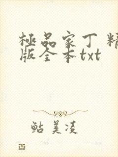 极品家丁 精校版全本txt封面