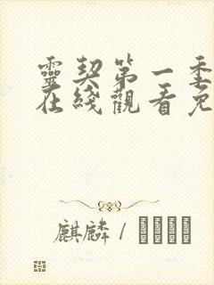 灵契第一季全集在线观看免费高清