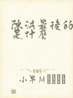 陈洪最后的结局是什么封面