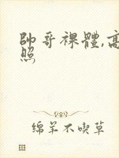 帅哥裸体,高清照