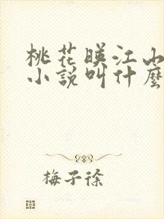 桃花映江山原著小说叫什么