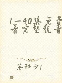 1—40集免费看完整观看