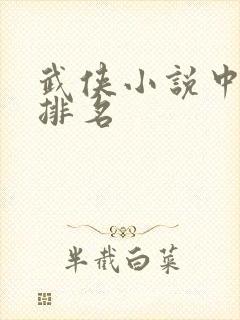 武侠小说中武功排名封面