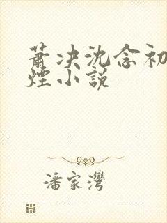萧决沈念初柳如烟小说
