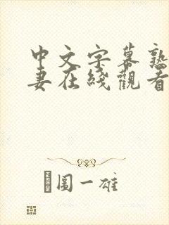 中文字幕熟女人妻在线观看