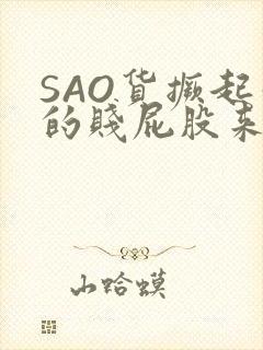 SAO货撅起你的贱屁股来