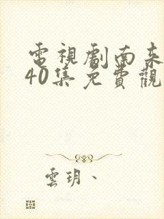 电视剧南来北往40集免费观看全集播放封面