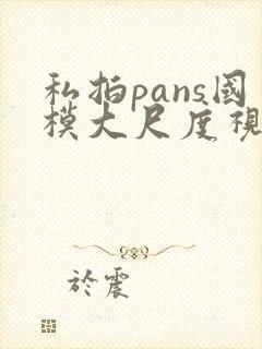 私拍pans国模大尺度视频在线