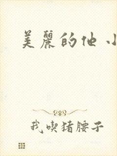 美丽的他 小说
