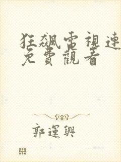 狂飙电视连续剧免费观看