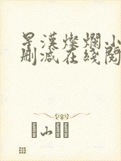星汉灿烂小说无删减在线阅读