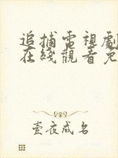 追捕电视剧全集在线观看免费
