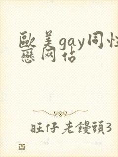 欧美gay同性恋网站
