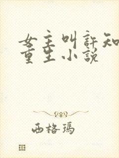 女主叫许知夏的重生小说封面