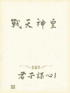 战天神皇封面