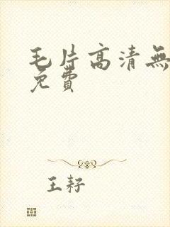 毛片高清无遮挡免费
