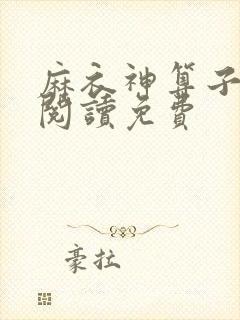 麻衣神算子在线阅读免费封面