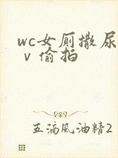 wc女厕撒尿七ⅴ偷拍