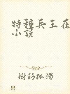 特种兵王在山村小说