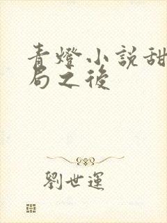 青灯小说甜文结局之后封面