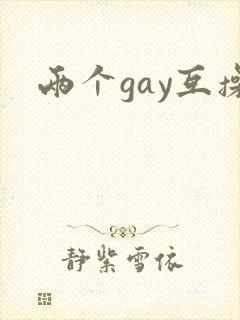 两个gay互操