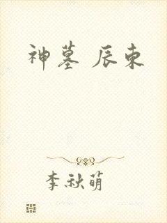 神墓 辰东封面
