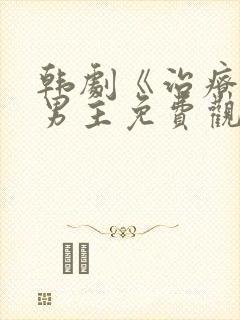 韩剧《治疗》双男主免费观看
