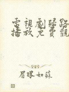 电视剧归路在线播放免费观看封面