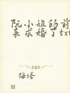 阮小姐的前夫又来求婚了txt下载封面