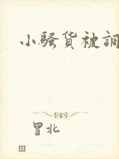 小骚货被调教
