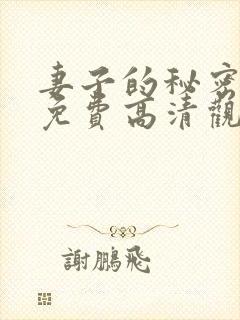妻子的秘密短剧免费高清观看全集