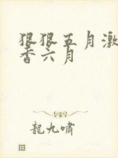 狠狠五月激情丁香六月