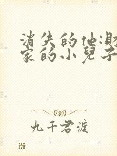 消失的他:财阀家的小儿子短剧