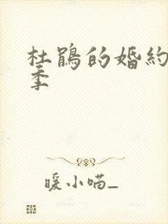 杜鹃的婚约第一季