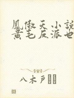 凤傲天小说里的黄毛反派也想要幸福txt
