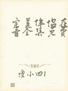 完美伴侣在线观看全集免费播放
