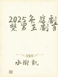 2025年腐剧双男主剧有哪些封面