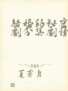 结婚的秘密电视剧分集剧情介绍