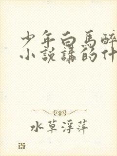 少年白马醉春风小说讲的什么
