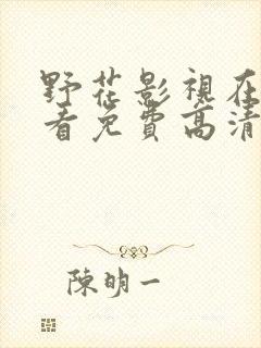 野花影视在线观看免费高清完整中文