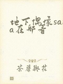 地下偶像sana在哪看封面