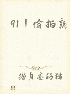 91丨偷拍熟女