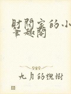 财阀家的小儿子笔趣阁