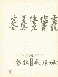 完美伴侣电视剧全集免费观看