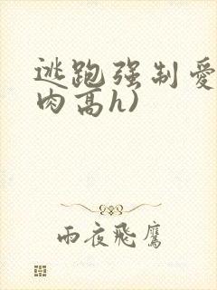 逃跑强制爱(巨肉高h)