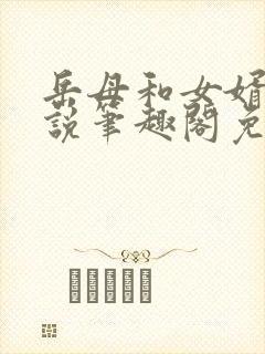 岳母和女婿的小说笔趣阁免费阅读全